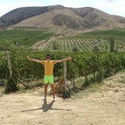 ���������� ��������������, ���� ������� ������, 31 ���, ������������ ��� ������