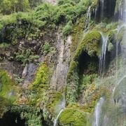 ���������� ������, ���� ������� ���, 42 ����, ������������ ��� ������, ����� � ���������