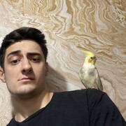  ,  , 26