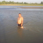 ���������� �������, ���� ������� DONIYOR, 40 ���, ������������ ��� ������, ����� � ���������, c�������� ���������