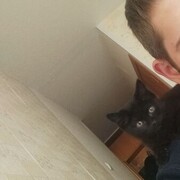 ���������� �����������, ���� ������� ���������, 29 ���, ������������ ��� ������, ����� � ���������