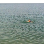 ���������� �������, ���� ������� Mixa1234, 50 ���, ������������ ��� ������