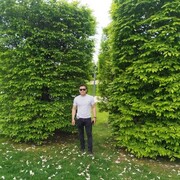  ,   , 33 ,   ,   
