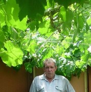 ���������� �������, ���� ������� �����, 62 ����, ������������ ��� c�������� ���������