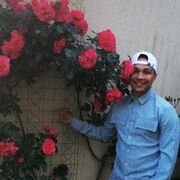 ���������� ����, ���� ������� ������, 29 ���, ������������ ��� ������, ����� � ���������