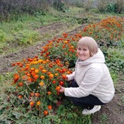 ���������� �����, ���� ������� ����, 65 ���, ������������ ��� c�������� ���������