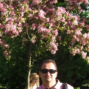  -,   , 41 ,   ,   , c 