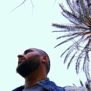  Alanya,   Settar, 31 ,   ,   