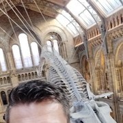 ���������� ��������, ���� ������� �����, 38 ���, ������������ ��� ������, ����� � ���������, c�������� ���������