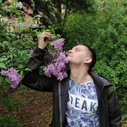 ���������� �����-���������, ���� ������� �������, 30 ���, ������������ ��� c�������� ���������