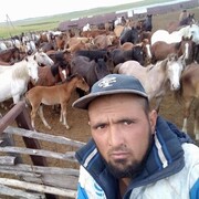 ���������� �����-���������, ���� ������� ��������, 34 ����, ������������ ��� ������, ����� � ���������