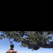 ���������� Blue Lake, ���� ������� Jackson, 28 ���, ������������ ��� ������, ����� � ���������, c�������� ���������