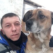 ���������� �����������, ���� ������� ������, 36 ���, ������������ ��� ������, ����� � ���������, c�������� ���������, ���������