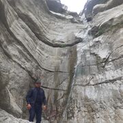 ���������� ���������, ���� ������� �������, 39 ���, ������������ ��� ������, ����� � ���������