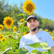 ���������� ���������, ���� ������� �������, 31 ���, ������������ ��� ������, ����� � ���������