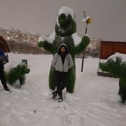 ���������� �����������, ���� ������� ������, 33 ����, ������������ ��� ������, ����� � ���������