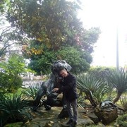 ���������� ����, ���� ������� ������, 38 ���, ������������ ��� ������, ����� � ���������, c�������� ���������