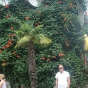 ���������� ������, ���� ������� Hayk, 52 ����, ������������ ��� ������