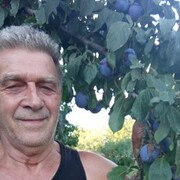  ,   , 72 ,   ,   