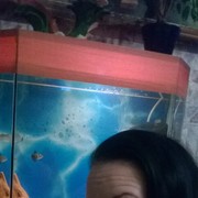 ���������� ������, ���� ������� ��������, 41 ���, ������������ ��� ����� � ���������, c�������� ���������