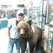 ���������� ������, ���� ������� ������, 44 ����, ������������ ��� ����� � ���������, c�������� ���������