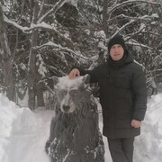 ���������� ���������, ���� ������� ��������, 40 ���, ������������ ��� ������, ����� � ���������, c�������� ���������