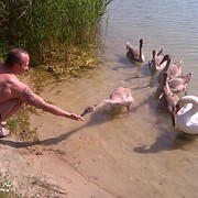  ,   , 49 ,  