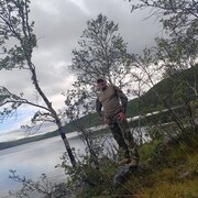  ,   , 43 ,   ,   , 