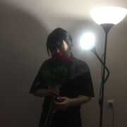  -,   , 55 ,   c 