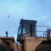 ������ �� �������?