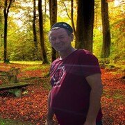  ,   , 51 ,   ,   
