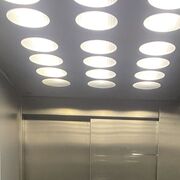 ���������� �����-���������, ���� ������� �����, 25 ���, ������������ ��� ������, ����� � ���������