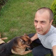  --,   , 46 ,   ,   , 