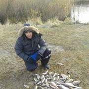 ���������� ���������, ���� ������� ���������, 41 ���, ������������ ��� ������, ����� � ���������, c�������� ���������