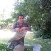  ,   Firuzjon, 35 ,   