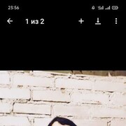  ,   , 41 ,   c , 