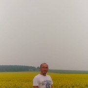 ���������� ��������, ���� ������� ����, 43 ����, ������������ ��� ������, ����� � ���������, c�������� ���������