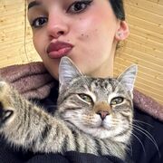 ���������� ������, ���� ������� �����, 27 ���, ������������ ��� ������, ����� � ���������, ���������