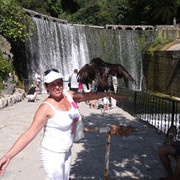 ���������� ������, ���� ������� ����, 62 ����, ������������ ��� ������, ����� � ���������, c�������� ���������