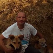 ���������� ���, ���� ������� ���������, 43 ����, ������������ ��� c�������� ���������