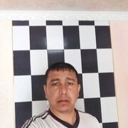  ,   Habibylla, 41 ,   ,   