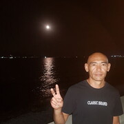  ,   , 44 ,   ,   