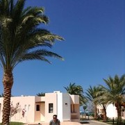 ���������� ������, ���� ������� ���, 37 ���, ������������ ��� ������, ����� � ���������, c�������� ���������