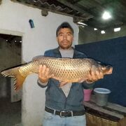  ,   , 39 ,   ,   