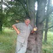  ,   Petor, 65 ,   