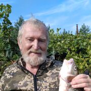 ���������� ������, ���� ������� �������, 76 ���, ������������ ��� ����� � ���������