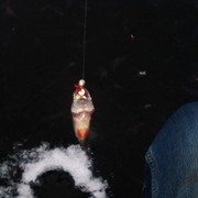 ������� �� ������� ����