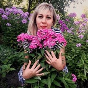  ,   , 43 ,  