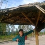  ,   Kanat, 29 ,   