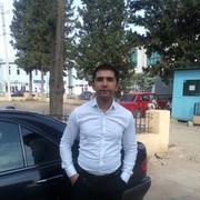  ,   Musvig, 38 ,  